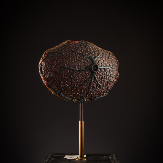 IES_SANISIDRO_BIOLOGIA_277