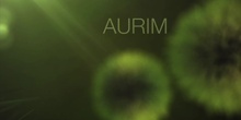 AURIM - TIERRA, MAR Y AIRE