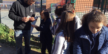 2019_02_08_Cuarto B visita el huerto_CEIP FDLR_Las Rozas 2