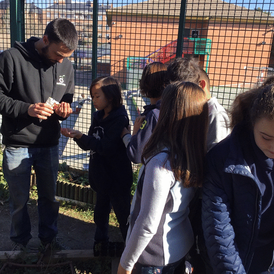2019_02_08_Cuarto B visita el huerto_CEIP FDLR_Las Rozas 2