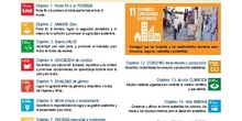 Los 17 Objetivos de Desarrollo Sostenible (ODS)