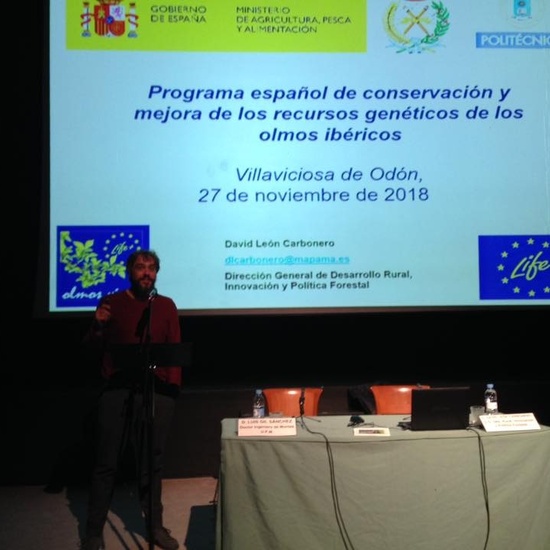 Charla olmos ibericos 3