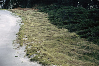 Dunar del río Barayo, Navia-Valdés, Principado de Asturias