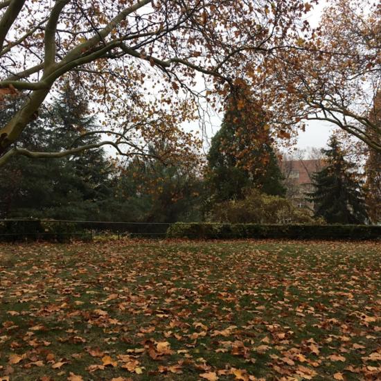 Jorge Mladenov 1AESO concurso fotografía Satafi foto 1 