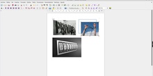 MAX 11.5.1: imprimir varias imágenes en un documento