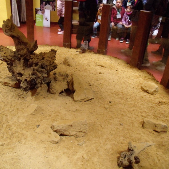 GRANJA DE LOS CUENTOS - ED.INFANTIL  34