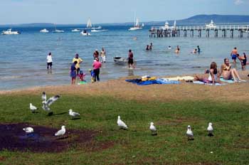 Día de playa en la península de Mornington, Victoria, Australia