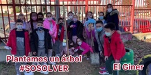 28049407 PLANTAMOS UN ÁRBOL #SOSOLVER - 3º PRIMARIA