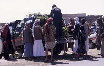 Grupo de hombres comprando qat, Yemen