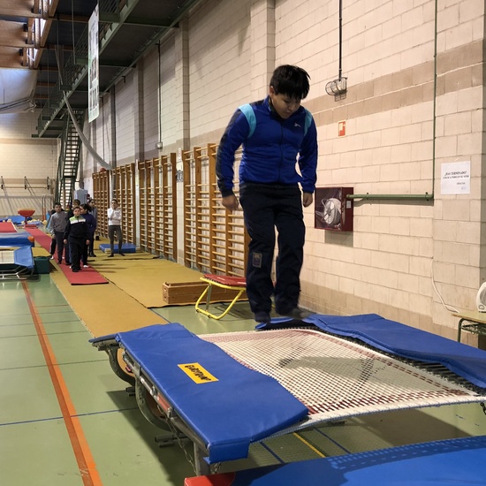 Gimnasia de trampolín 2 6