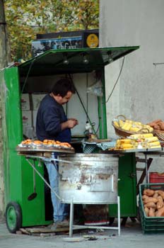 Vendedor de castañas, Madrid