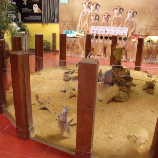 GRANJA DE LOS CUENTOS - ED.INFANTIL  25