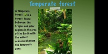 	 PRIMARIA - 5º - TEMPERATE FOREST - NATURAL SCIENCE - GONZALO, CARLA, ALICIA, TIAGO Y PABLO