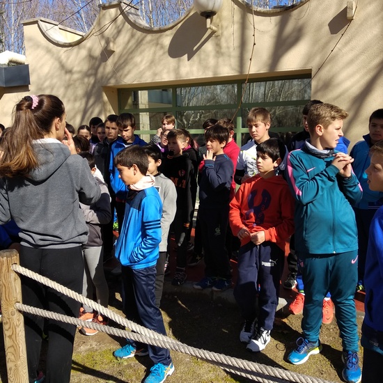 Multideporte en la ciudad deportiva Puerta de Hierro 16