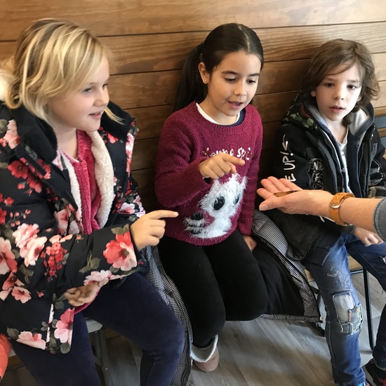 2020_02_27_3º visita Insectpark (4)_CEIP FDLR_Las Rozas 3