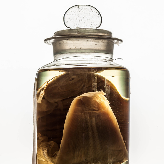 IES_SANISIDRO_MUSEO_BOTES_018