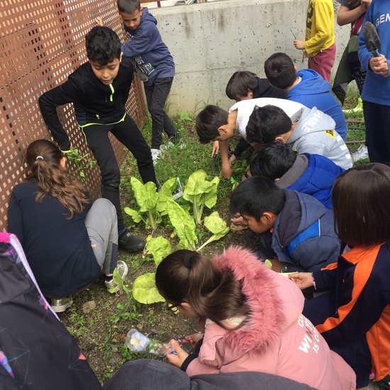 El año hortelano de 4º B 41