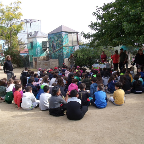 NOCHE MÁGICA 2019 (3ª parte) 35