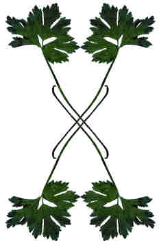 Composición en aspa