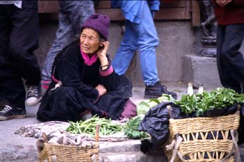 Vendedora del mercado de verduras, Ladakh, India