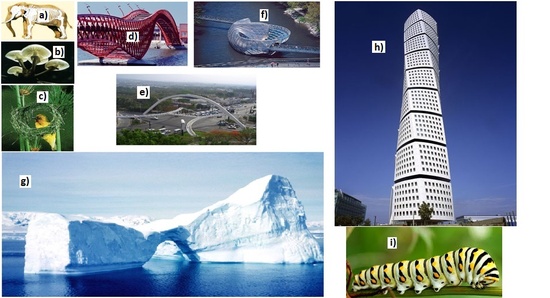 img_41_2_Natural_Artificial_Structure_2