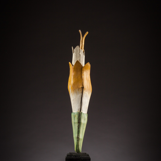 IES_ISABELLACATOLICA_BIOLOGIA_026