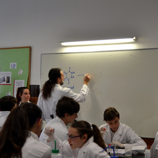 Proyecto de Aprendizaje y Servicio 29