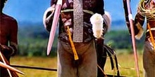 Guerrero decorado con una pluma, Irian Jaya, Indonesia