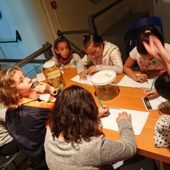 Excursión al museo de ciencias 19