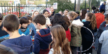 2019_01_30_Mercadillo Solidario 2019_CEIP FDLR_Las Rozas 8