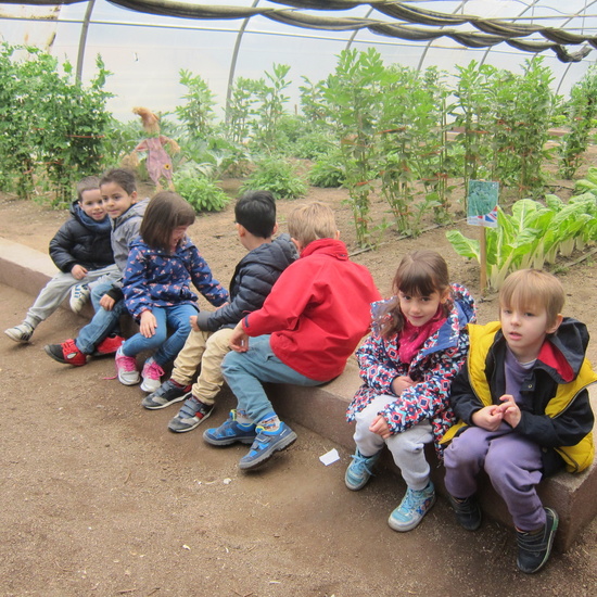 Granja Escuela Educación Infantil Curso 2017-18_2 21