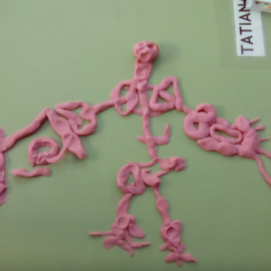 2016_11_Proyecto Cuerpo Humano_Inf 5b  3