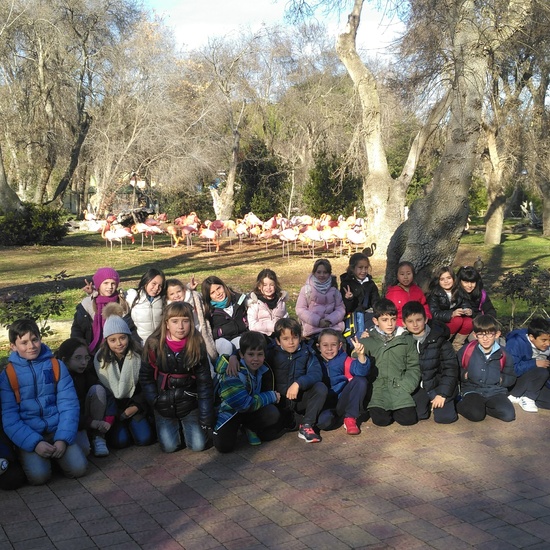 3ºE- Fotos Primer Trimestre 18