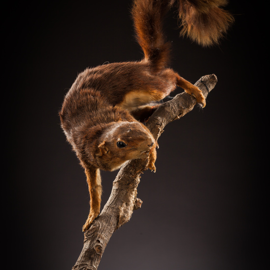 IES_CERVANTES_BIOLOGIA_041