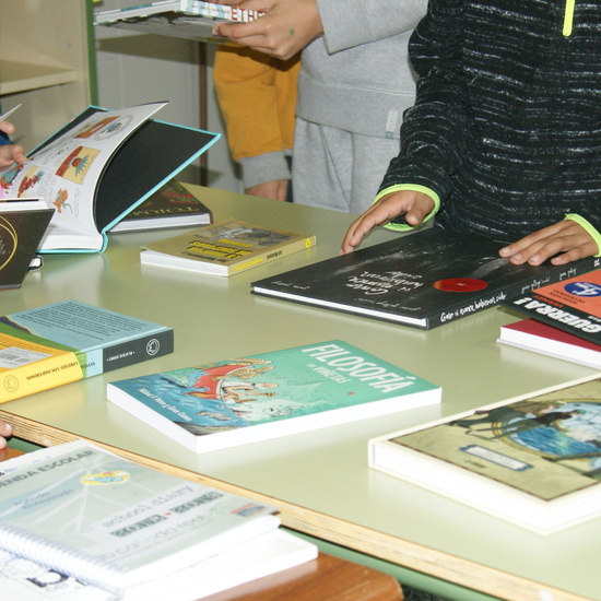Taller de biblioteca