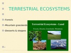 Terrestrial ecosystems