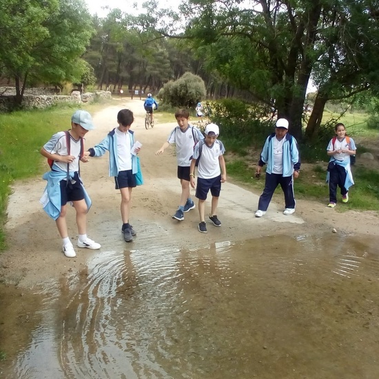 Camino de Santiago 19