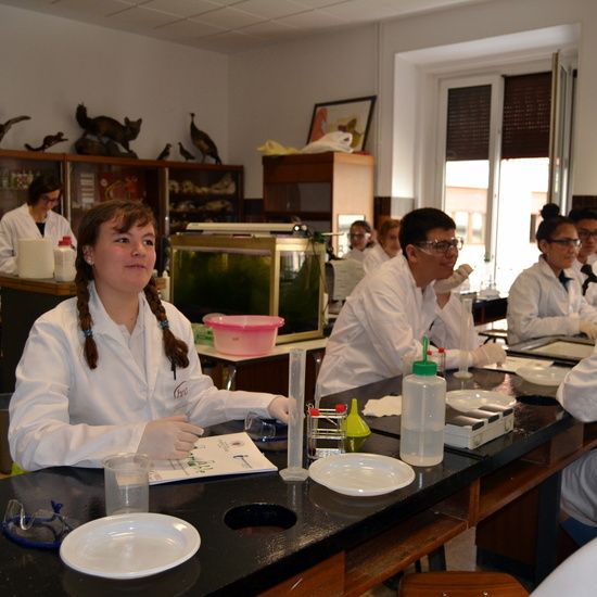 Proyecto de Aprendizaje y Servicio 39