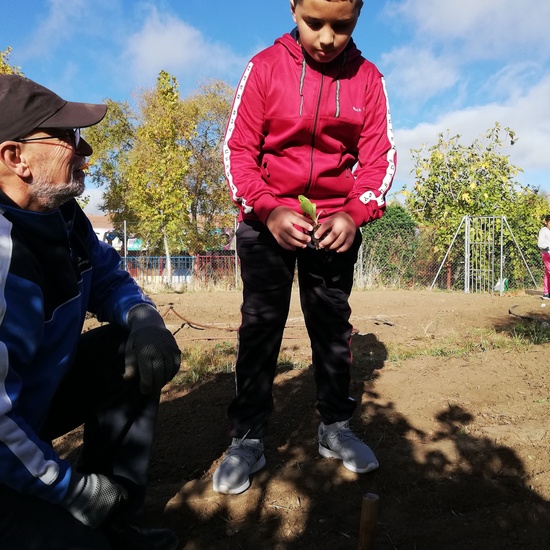 Huerto escolar 2019/20 22