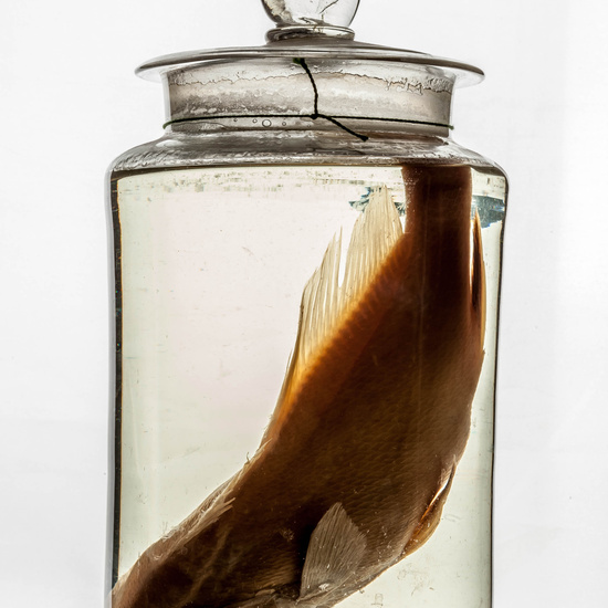 IES_CARDENALCISNEROS_CIENCIASNATURALES_336