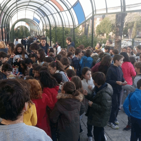 2019_01_30_Mercadillo Solidario 2019_CEIP FDLR_Las Rozas 19