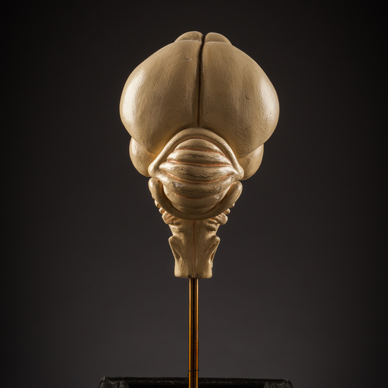 IES_SANISIDRO_BIOLOGIA_184