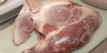 Carne de ternera