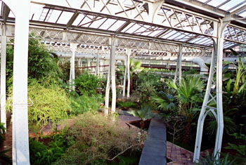 Interior de invernadero