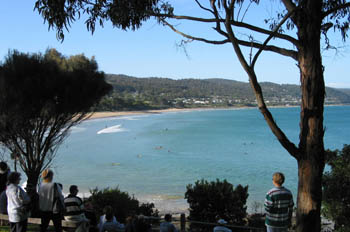 Surfing en Apolo Bay, Victoria, Australia