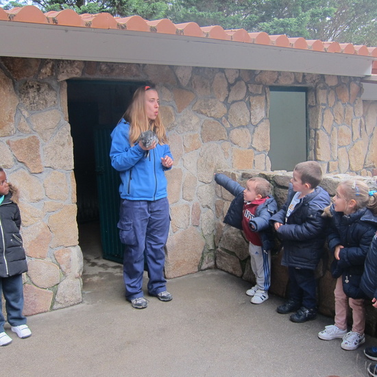 Granja Escuela Educación Infantil Curso 2017-18 48