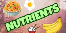 The ROLES of the Different NUTRIENTS of FOOD - Primary Education Grade 5-6 | Happy Learning Style