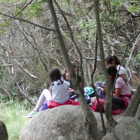 NIÑAS/OS DE 5º . NATURALEZA VIVA EN LA PEDRIZA.HOSTOS POR EL PLANETA 8