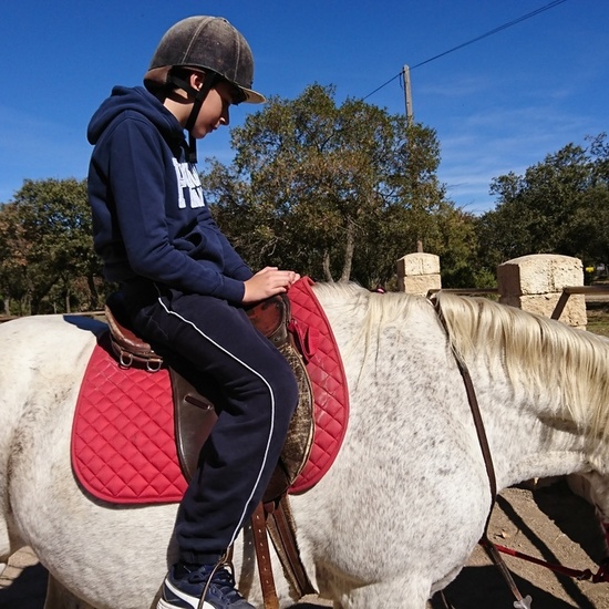 Mohernando 2017_2 12