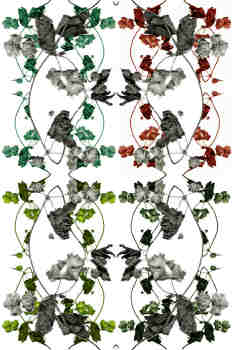 Opción tercera de ramas en tres colores